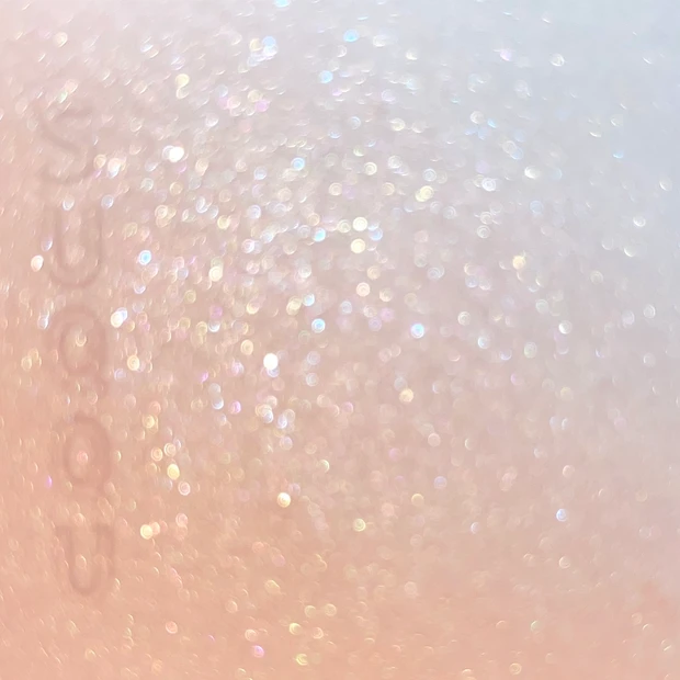 SUQQU ブラーリングカラーブラッシュ 101 羽風 限定