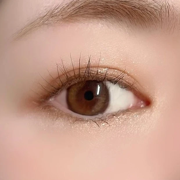 セザンヌ ベージュトーンアイシャドウ 01 ナッツベージュ 使い方・塗り方