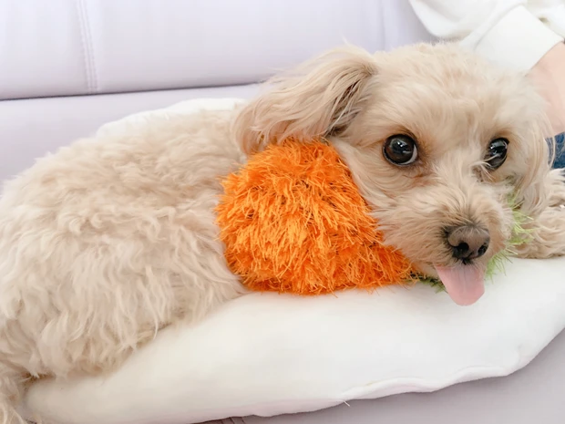 【朝洗顔にも◎】江原道のクレンジングウォーターでさっぱり肌_5