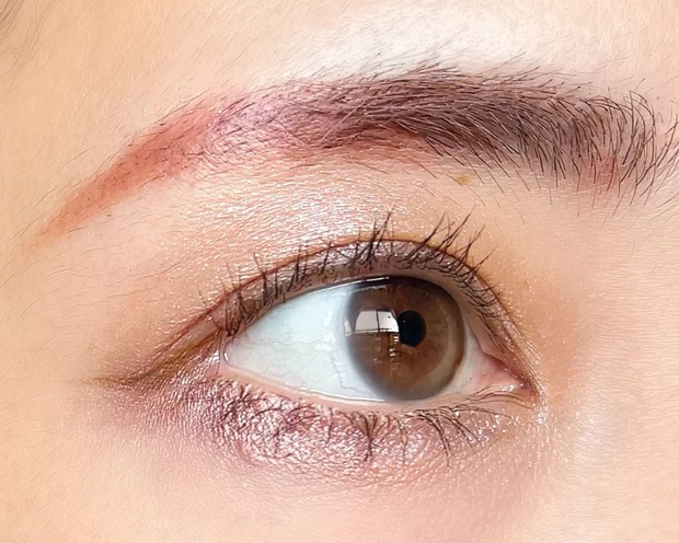 【祝LUNASOL(ルナソル)25周年】8種の厳選ベージュがセットされたアイカラーレーションスペシャルエディションEX－03ベージュプリズム✨【ブルベも垢抜けるメイクレシピ紹介】_9_1