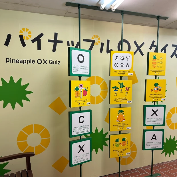 沖縄土産にオススメ♡ナゴパイナップルパーク【パイン炭石けん】120万個売れた人気の理由は？パイナップルの嬉しい美容効果も♡_6_2