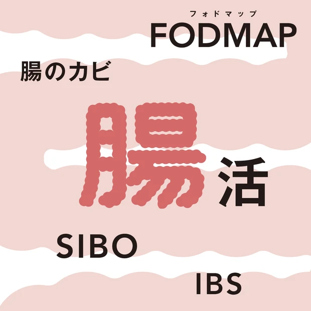 【腸活最前線】フォドマップ・腸カビ・SIBO・IBSとは？ 最新キーワー…