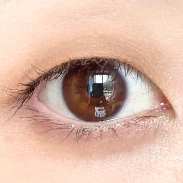 【スック新作】単色アイシャドウ「モノルックアイズ」イエベが購入した５色をレビュー｜おすすめの組み合わせは？_22_1