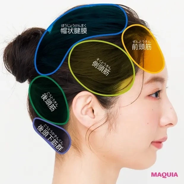 先週もっとも読まれたのは?人気記事ランキングTOP15【12/2~8】_15