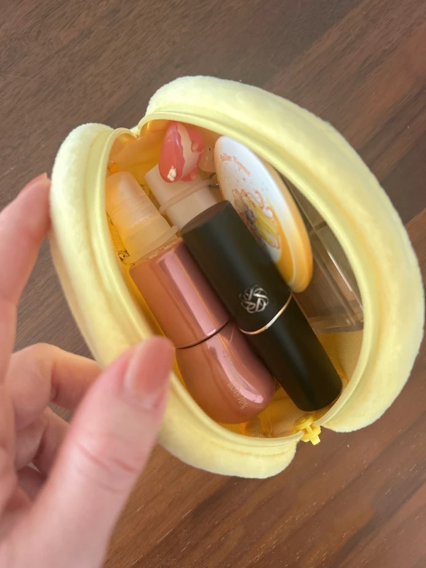 持ち歩きポーチの中身