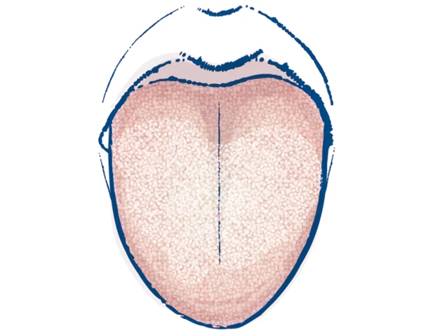 目指せ、日々快調！湿気とのつき合い方 PhotoGallery_1_20