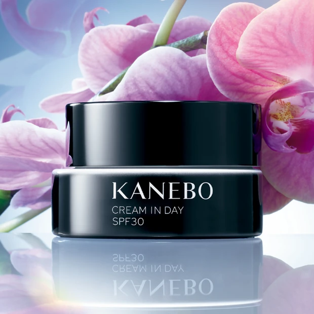 保湿クリーム 顔 KANEBO クリーム イン デイII