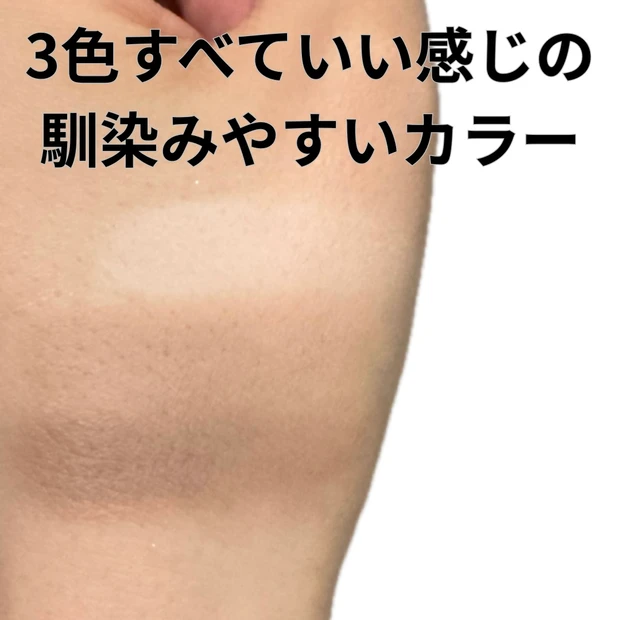 私のお勧めシェーディングパウダー_1