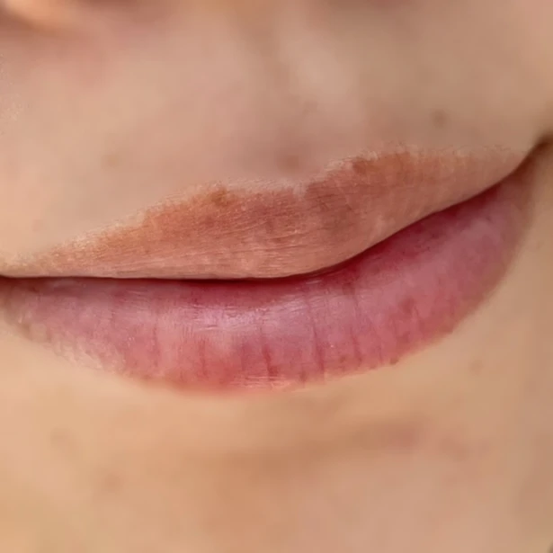 【田中みな実 オバジ リップ】仕上がり