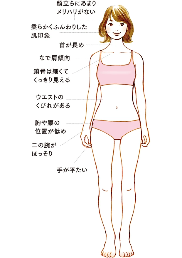 顔立ちにあまりメリハリがない／柔らかくふんわりした肌印象／首が長め／なで肩傾向／鎖骨は細くてくっきり見える／ウエストのくびれがある／胸や腰の位置が低め／二の腕がほっそり／手が平たい