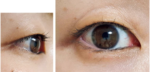 落ちないマスカラ マジョリカ マジョルカ ラッシュエキスパンダー孔雀ロング4