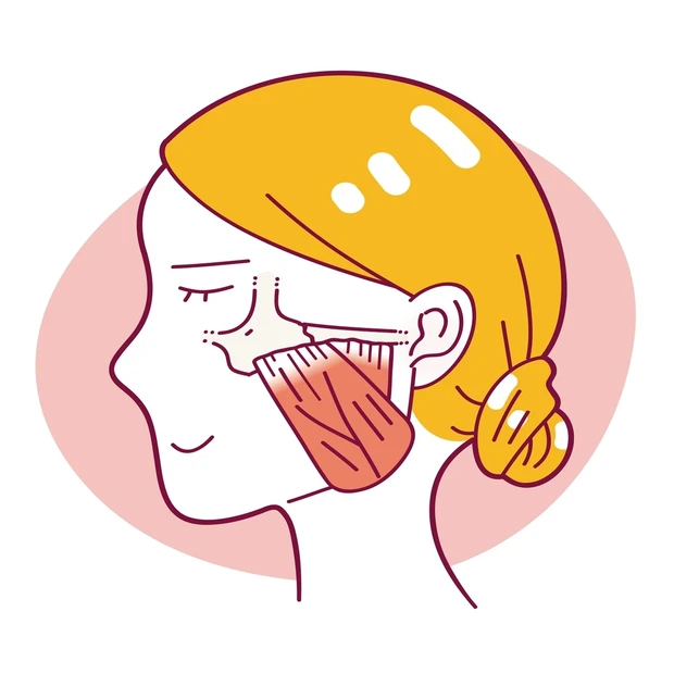 ドクターが答える美容医療Q&A。エラはり、まぶた・口角の下がり…施術選び…