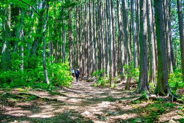 月山もも ひとリート ソロ登山 初心者 登山 半日 日帰り リトリート 郊外 東京都 八王子 景信山 ハイキング