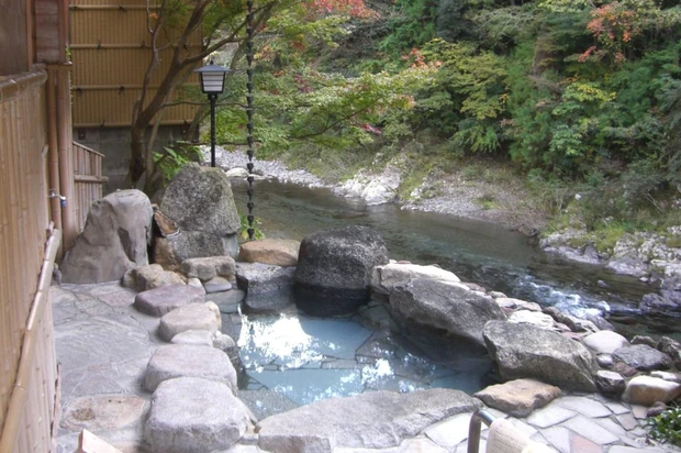 和歌山県・日本三美人の湯「龍神温泉 上御殿」