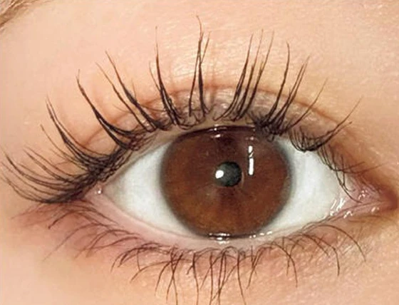 エレガンス カールアメイジング マスカラのスウォッチ After