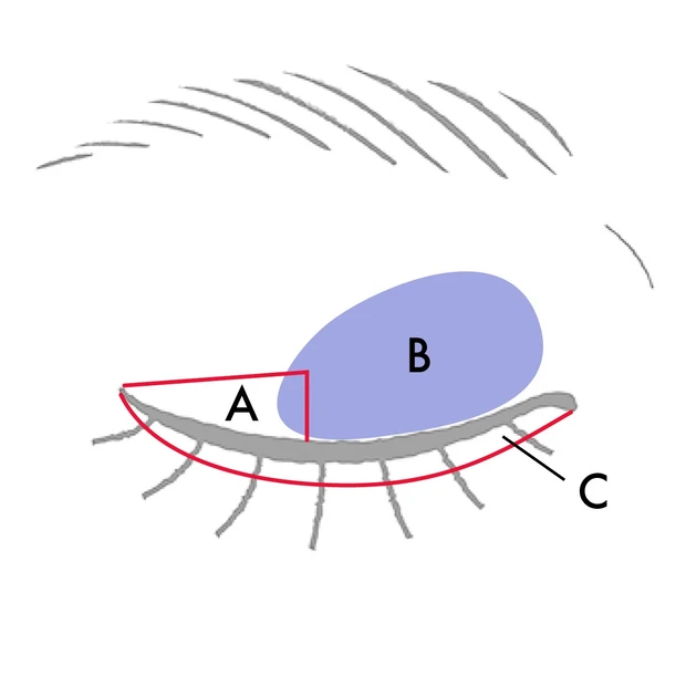 【二重アイメイク】ベスコス受賞セルヴォークの ヴォランタリーベイシス アイパレットはこう使う!_3_2