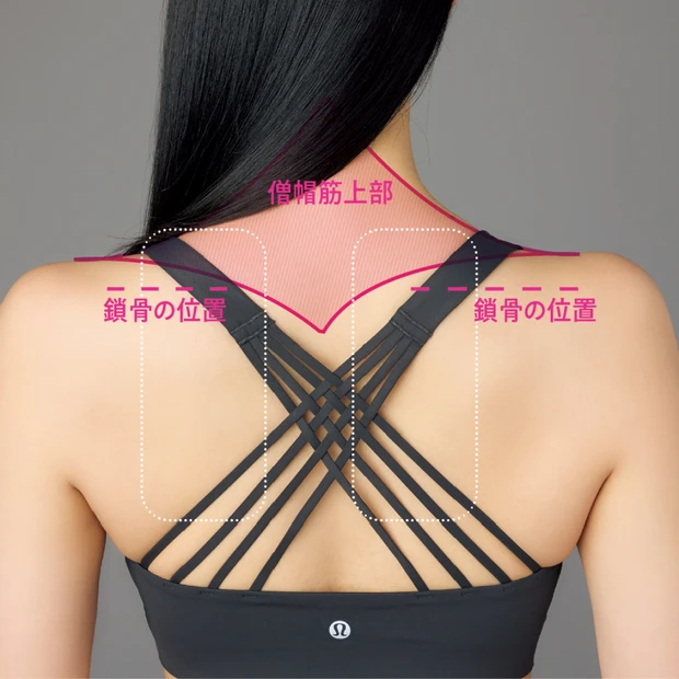 つらい「肩こり」の原因は? 肩専門の整形外科医が解説!