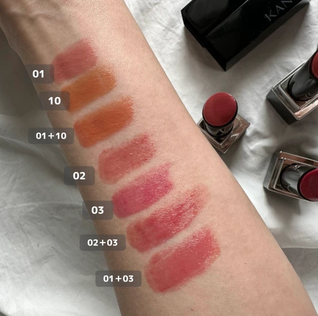 2月はこれしか使ってない・・・！【KANEBO-カネボウ-】2024新作リップ💄 ルージュスターヴァイブラント✨購入カラーをPC別にご紹介！_3