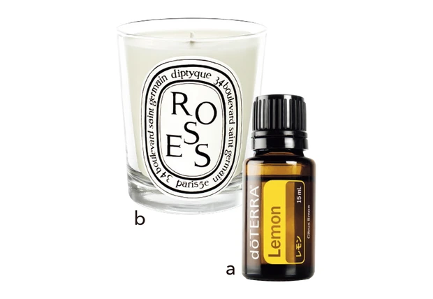 a ドテラ エッセンシャルオイル レモン 15ml ￥2700／doTERRA CPTG Essential Oils Japan　b ディプティック キャンドル ローズ 190g ￥9790／ディプティックジャパン