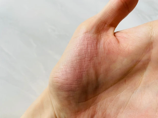 エクセルのシームレストーンブラッシュ SB02 シスターのスウォッチ