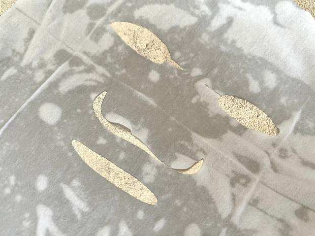 【ルルルン】22歳の肌がピークに美しい？！毎日パックで肌の環境適応力を上げ揺らぎにくい肌を鍛える。_4_1