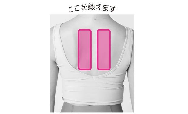 ここを鍛えます