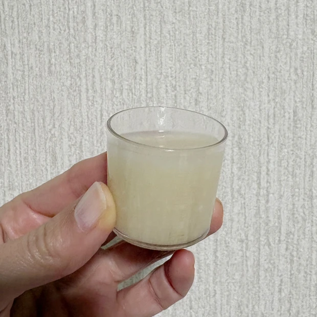 【美容旅】醗酵食品で身体の中から美人に！飛騨高山旅行_3