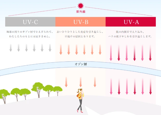 （出典：https://ls-jp.fujifilm.com/astaliftbrand/duvclear/technology/）