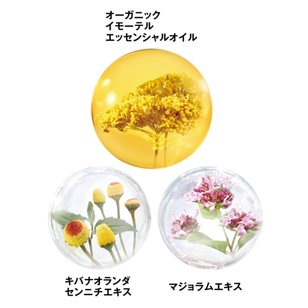 3つの植物のチカラで肌印象をケア