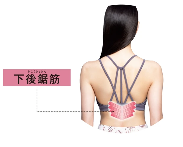 小顔と美肌をつくる美容筋2