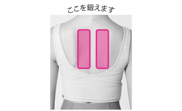 ここを鍛えます