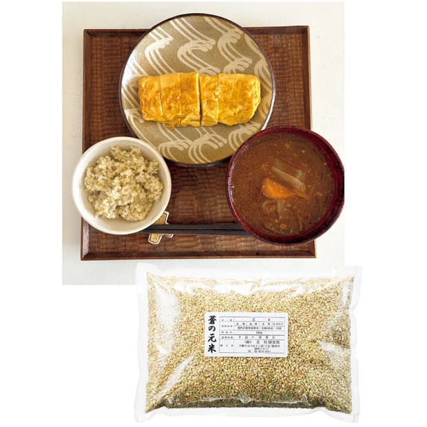 美のプロがレポート！ 本当に効いたダイエット PhotoGallery_1_33