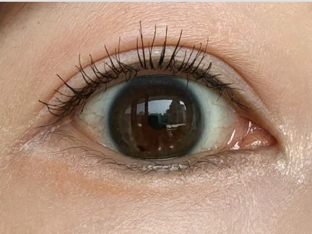 キャンメイク　プランぷくコーデアイズ　01 MAQUIA マキア　付録