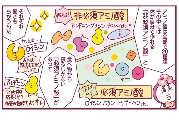 いまこそ積極的に摂るべき! 「たんぱく質」の基本をわかりやすく解説_1