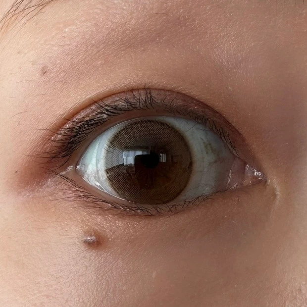 【顔タイプ別メイク】MAQUIA9月号掲載！どうぶつ顔タイプ別、私が盛れる正解メイクを実際に試してみた！_7_1