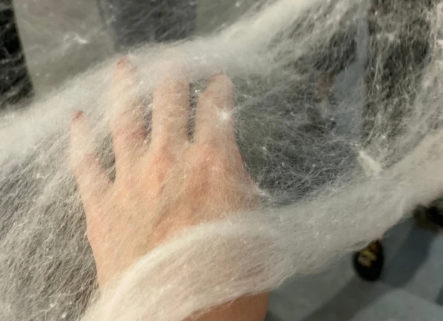 【睡眠美容】楽天で買える！評価もgoodなシルの下着と枕カバーにどハマり中_1_2