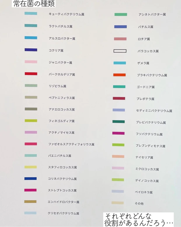 資生堂♡美の複合体験施設S/PARKで【美肌菌肌診断】してきた♪_2_2