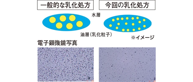 インウイ ルーセントプライマー 電子顕微鏡写真