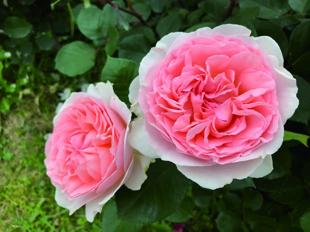 リニューアルしたファンケル 銀座スクエアに行って来ました！_7_1