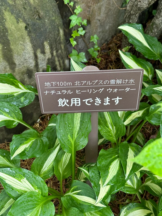 絵本の中にいるような美しい庭園「ラ・カスタ ナチュラル ヒーリング ガーデン」ブランド愛が高まる！！_6_1