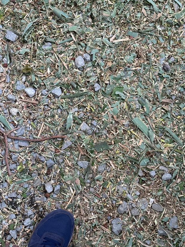 ニコライ・バーグマンが作ったガーデンで森林浴 デトックス!聞いて欲しい園内の廃材利用の工夫。_6_1