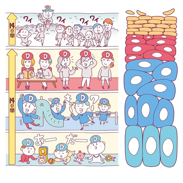 地味だけど効く！ うるおい美肌に欠かせない「角層育て」の基本をドクターが…