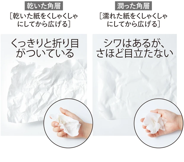 【実験3】保湿された角層はシワになりにくい