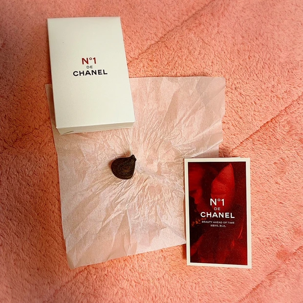 【#BEAUTYEVENT 】レッドカメリアのパワーを私の肌へ。『N°1 DE CHANEL GARDEN』@東京ミッドタウン_10