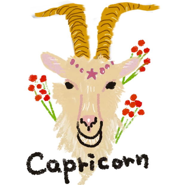 【山羊座】2025年の開運メイク