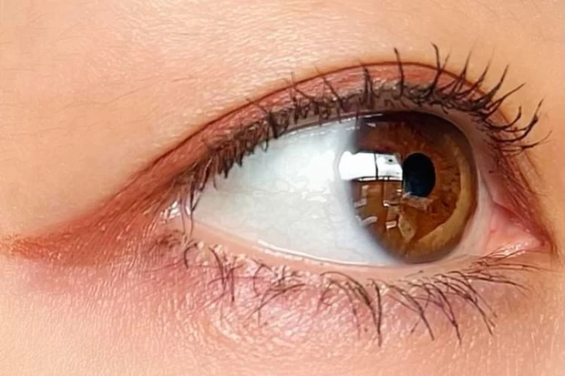 キャンメイク クリーミータッチライナー [09]ダージリンピンク