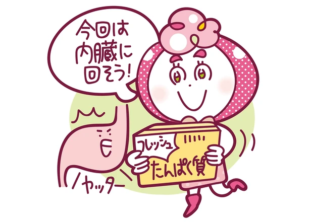 今回は内臓に回そう!