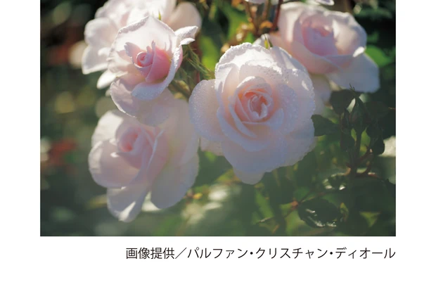 画像提供／パルファン・クリスチャン・ディオール