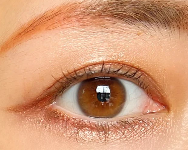 CANMAKE キャンメイク プティパレットアイズ 全色レビュー プチプラコスメ