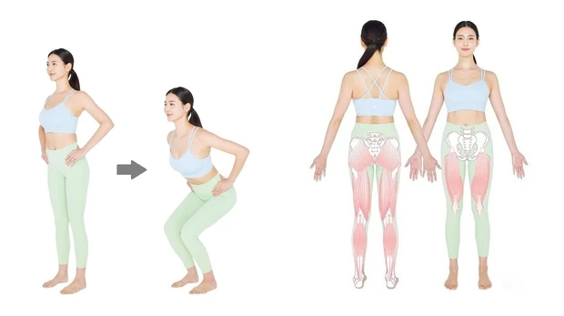 【王道だけどすごい筋トレ】スクワットの効果とは?頻度・回数・やり方も紹介